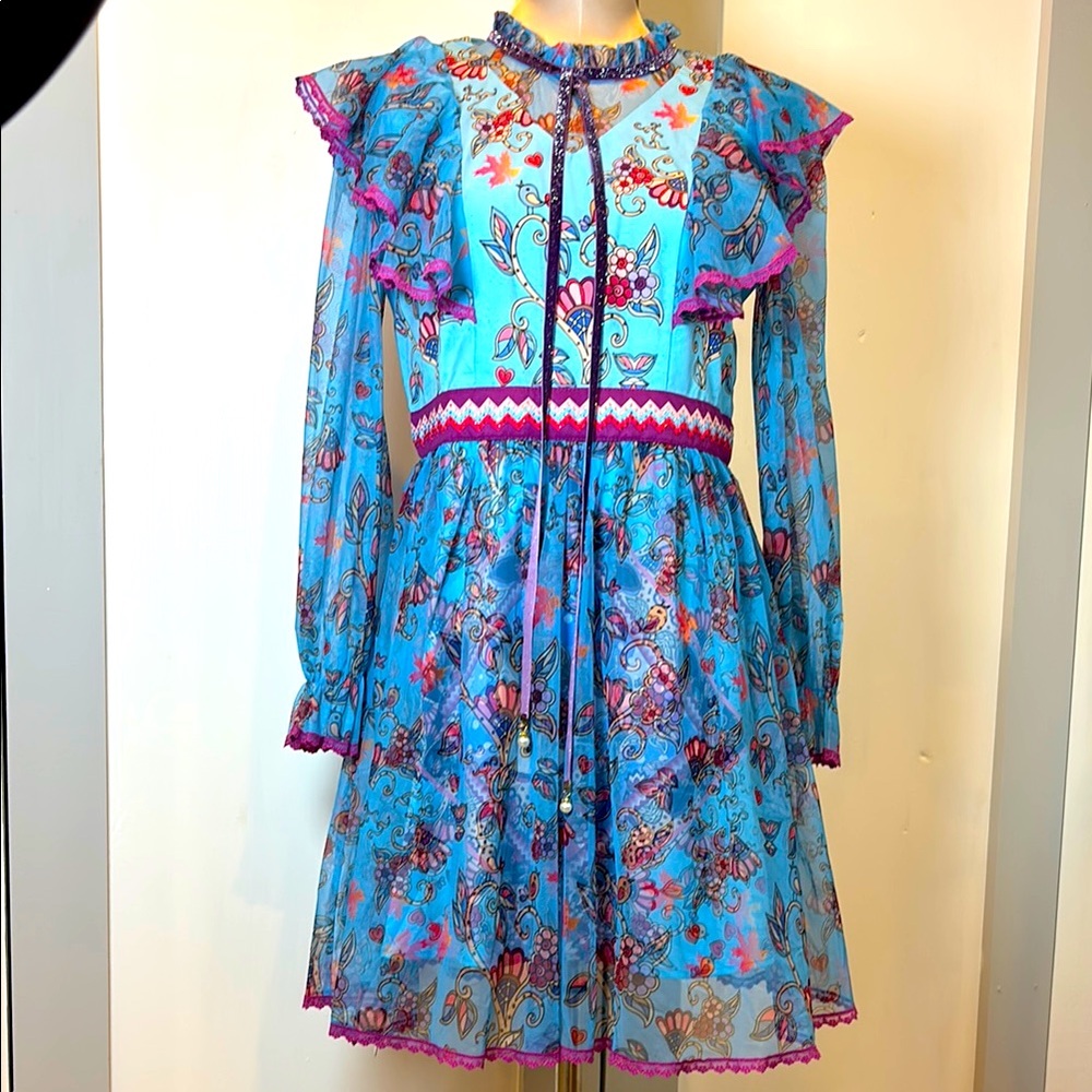 Burryco Whimsical Floral Mesh
Dress Vintage Inspired Size 6 NWT
